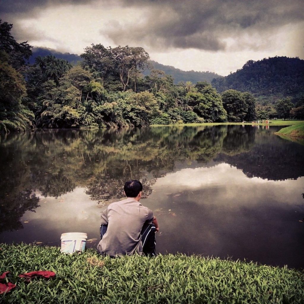 Taiping Lake Gardens